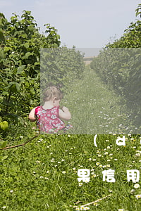 當(dāng)信用卡還不起了該怎么辦（如果信用卡還不起銀行會(huì)怎么辦）