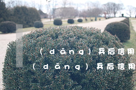 當(dāng)兵后信用卡逾期怎么辦-當(dāng)兵后信用卡逾期怎么辦理
