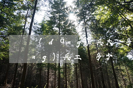 當(dāng)兵大專多少錢(大專當(dāng)兵工資多少錢一個(gè)月)