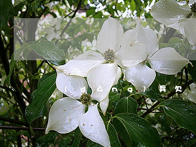 當(dāng)兵欠網(wǎng)貸不還