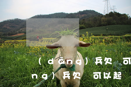 當(dāng)兵欠錢可以起訴嘛(當(dāng)兵欠錢可以起訴嘛現(xiàn)在)