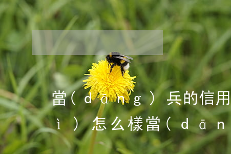 當(dāng)兵的信用卡逾期了會(huì)怎么樣(當(dāng)兵的信用卡逾期了會(huì)怎么樣?)