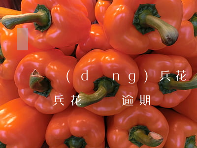 當(dāng)兵花唄分期沒還完怎么辦（征兵花唄沒逾期）