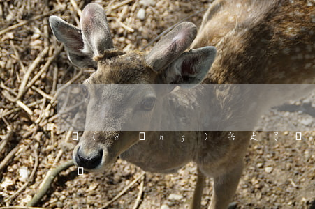 當(dāng)兵走了還欠網(wǎng)貸