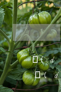 當(dāng)兵造成信用卡逾期了怎么辦(當(dāng)兵造成信用卡逾期了怎么辦呢)