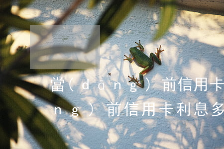 當(dāng)前信用卡利息多少(當(dāng)前信用卡利息多少錢(qián))
