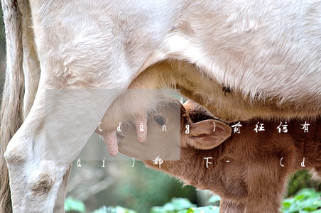 當(dāng)前征信有逾期什么平臺(tái)都沒下-當(dāng)前征信有逾期什么平臺(tái)都沒下款