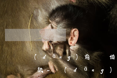 當(dāng)前暫無借唄額度但是顯示要還款-當(dāng)前暫無借唄額度但是顯示要還款怎么回事