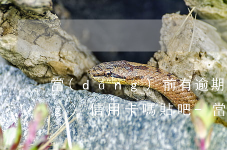當(dāng)前有逾期可以申請(qǐng)信用卡嗎貼吧-當(dāng)前有逾期可以申請(qǐng)信用卡嗎貼吧