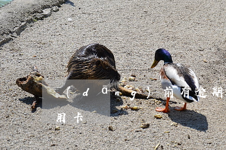 當(dāng)前有逾期可以辦什么銀行信用卡