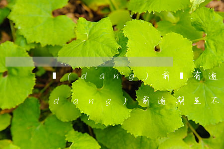 當(dāng)前沒有逾期就可以貸款(當(dāng)前逾期是不是不能貸款了)