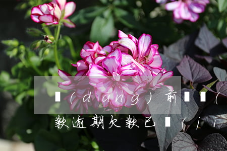 當(dāng)前為結(jié)清逾期貸款(逾期欠款已結(jié)清,征信什么時(shí)候顯示結(jié)清)