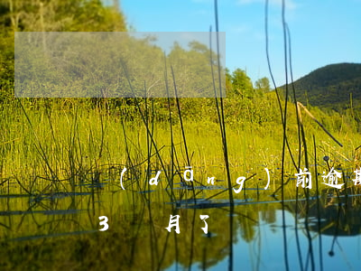 當(dāng)前逾期3個月能貸款嗎(逾期3個月了)