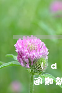 當(dāng)前逾期一次不能貸款(有幾次逾期就不能貸款)