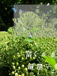 當(dāng)前逾期一次可以貸款嗎(貸款逾期一個(gè)月嚴(yán)重嗎)