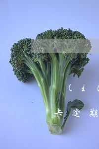 當(dāng)前逾期不能做信用貸款(信用卡逾期不能貸款嗎)