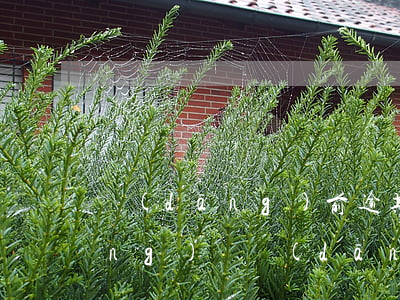當(dāng)前逾期可以借到的網(wǎng)貸(當(dāng)前逾期可以借到的網(wǎng)貸)