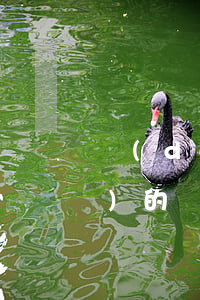 當(dāng)前逾期可以申請(qǐng)的網(wǎng)貸(當(dāng)前逾期可以申請(qǐng)的網(wǎng)貸)