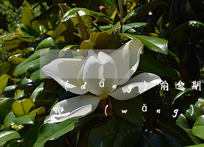 當(dāng)前逾期可以點(diǎn)哪種網(wǎng)貸(逾期能申請下來的網(wǎng)貸)