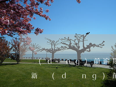 當(dāng)前逾期多久會(huì)更新(當(dāng)前逾期多久會(huì)更新掉)