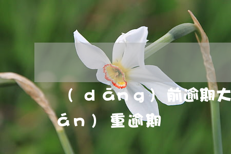 當(dāng)前逾期大額借款(借款嚴(yán)重逾期)