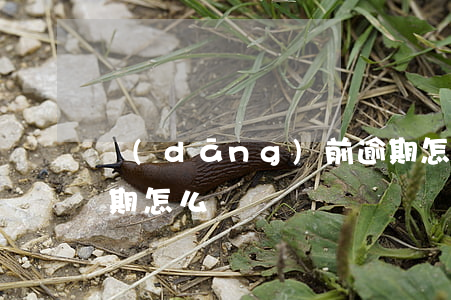 當(dāng)前逾期怎么銀行貸款(銀行逾期怎么辦)