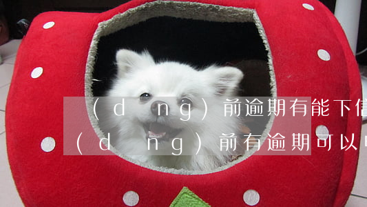 當(dāng)前逾期有能下信用卡的么(當(dāng)前有逾期可以申請信用卡嗎)
