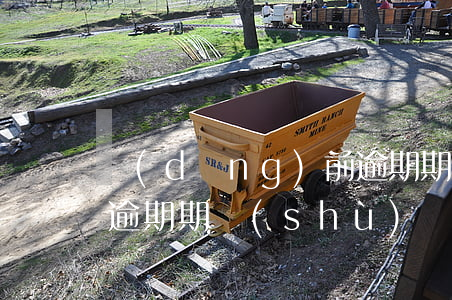 當(dāng)前逾期期數(shù),累計逾期期數(shù)（當(dāng)前逾期總數(shù)）