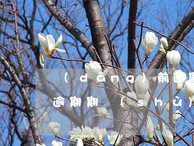 當(dāng)前逾期期數(shù),累計逾期期數(shù)（逾期總數(shù)27）