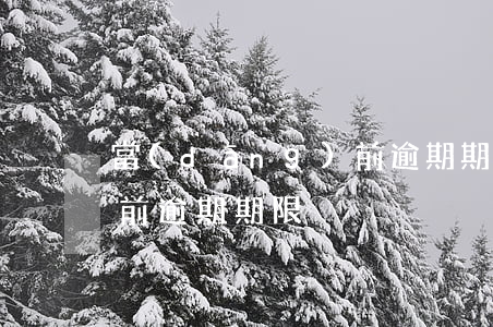 當(dāng)前逾期期限(當(dāng)前逾期期限)
