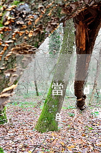 當(dāng)前逾期能做什么網(wǎng)貸(嚴(yán)重逾期能做哪些網(wǎng)貸)