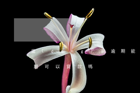 當(dāng)前逾期能做貸款嗎(近期有逾期可以貸款嗎)