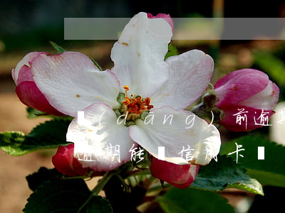 當(dāng)前逾期能辦信用卡么(信用有逾期能辦信用卡嗎)