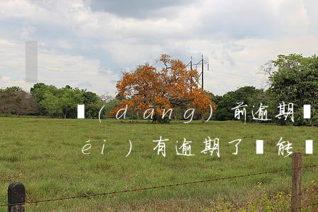 當(dāng)前逾期貸款的口子(有沒(méi)有逾期了還能貸款的口子)
