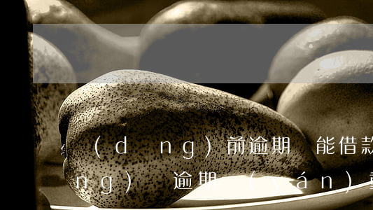 當(dāng)前逾期還能借款的網(wǎng)貸(逾期嚴(yán)重還能借的網(wǎng)貸)