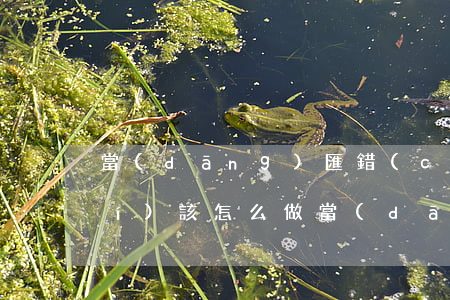 當(dāng)匯錯(cuò)款時(shí)該怎么做(當(dāng)匯錯(cuò)款時(shí)該怎么做)
