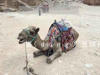 當(dāng)天信用卡逾期多長時間上征信