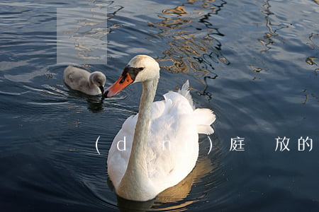 當(dāng)庭釋放的幾種情況