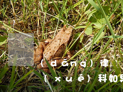 當(dāng)律師應(yīng)選什么學(xué)科(如果要當(dāng)律師應(yīng)該選什么專業(yè))