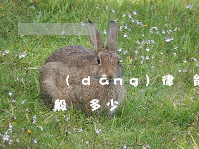 當(dāng)律師能賺多少錢(律師賺錢一般賺多少)