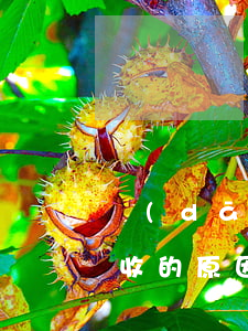 當(dāng)心網(wǎng)貸上門催收的原因