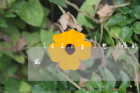 當(dāng)想離婚的時(shí)候怎么辦