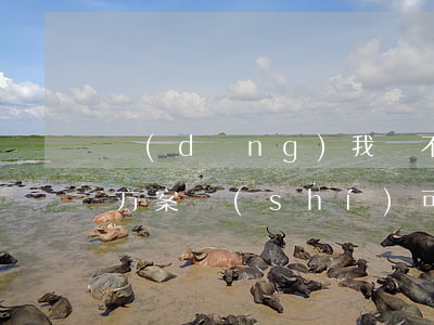 當(dāng)我們不服征地補(bǔ)償方案時(shí)，可否直接提起訴訟來維權(quán)？