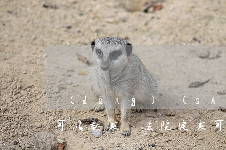 當(dāng)時(shí)法院判的輕傷可以翻案嗎(法院定案可以翻案嗎)