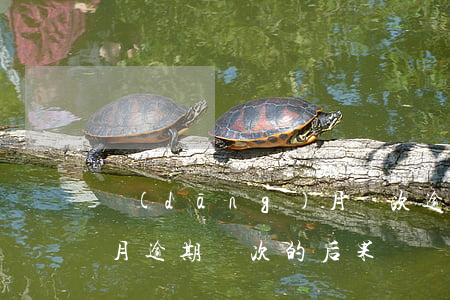 當(dāng)月兩次逾期-一個(gè)月逾期兩次的后果