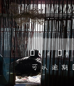 當(dāng)月逾期可以辦理房貸嗎(房貸可以逾期幾個月)