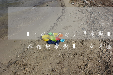 當(dāng)月逾期當(dāng)月查征信能查到嗎-本月逾期可以查到征信嗎