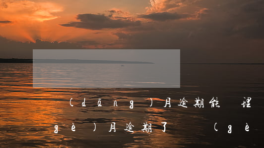 當(dāng)月逾期能辦理貸款嗎(上個(gè)月逾期了這個(gè)月能貸款嗎)