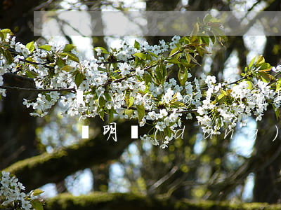 當(dāng)月逾期還款結(jié)清證明(當(dāng)月逾期還款結(jié)清證明)