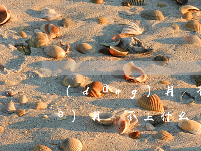 當(dāng)月還不起貸款 貸款這個(gè)月還不上什么時(shí)候扣